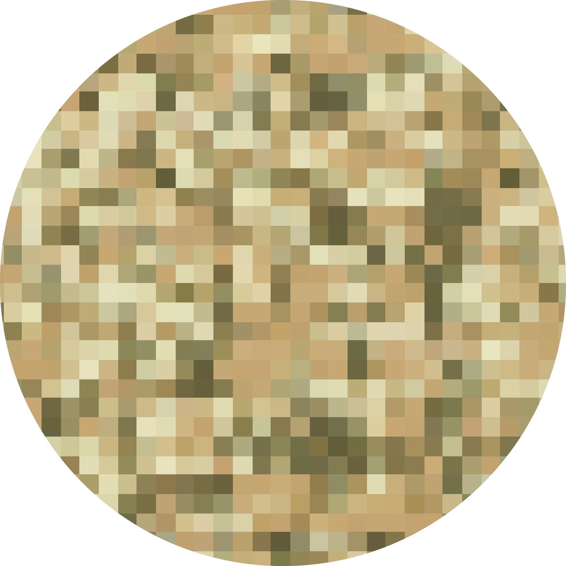 Desert Camo