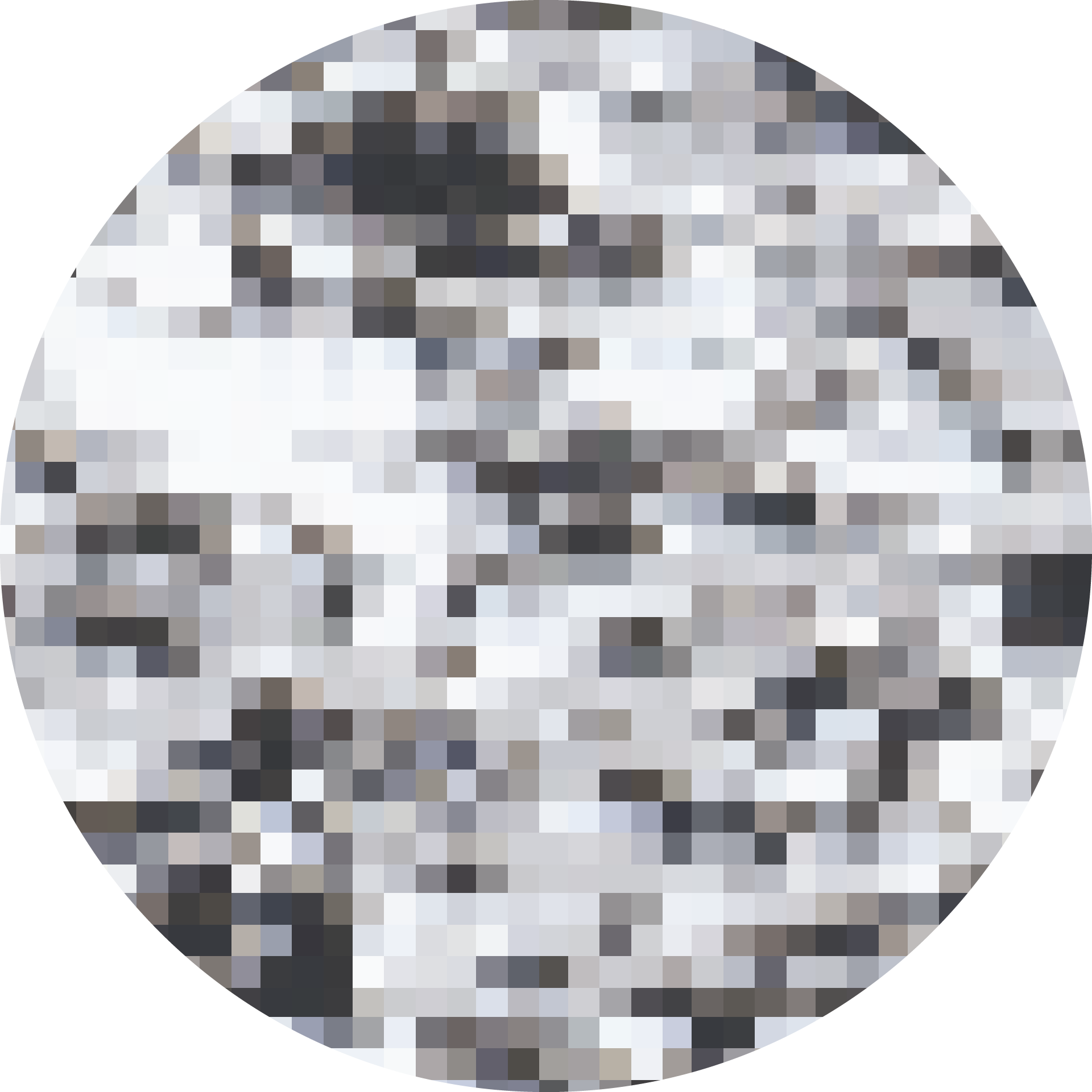 Snow Camo